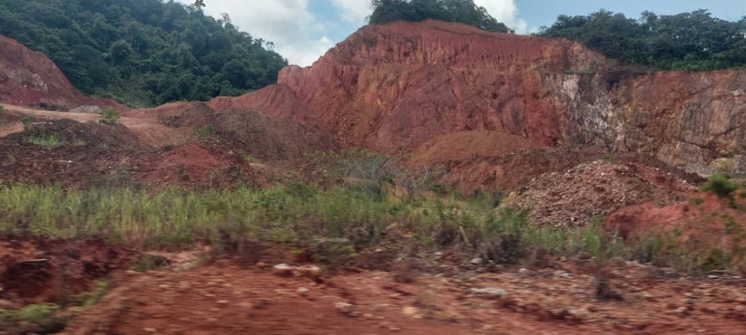 Gold and bauxite mining 13